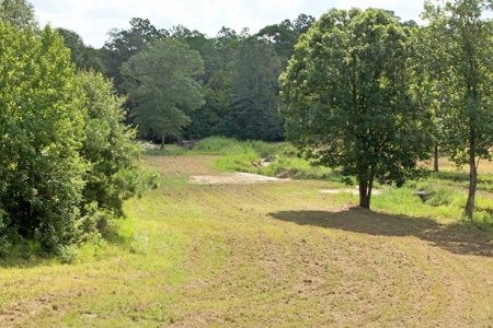 716 Acres Land for Sale on the Big Black River Woodville, MS - image 14