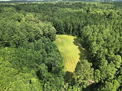 716 Acres Land for Sale on the Big Black River Woodville, MS - image 33