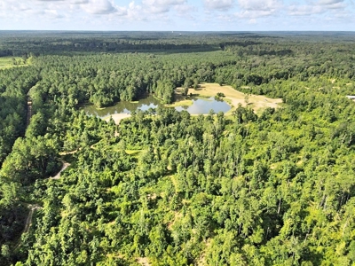 716 Acres Land for Sale on the Big Black River Woodville, MS - image 28
