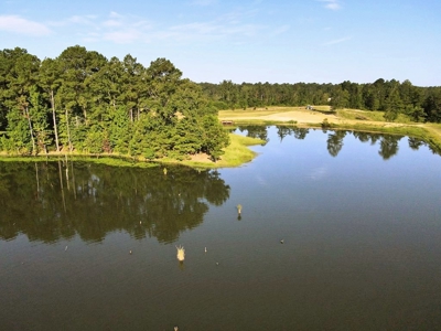 716 Acres Land for Sale on the Big Black River Woodville, MS - image 21