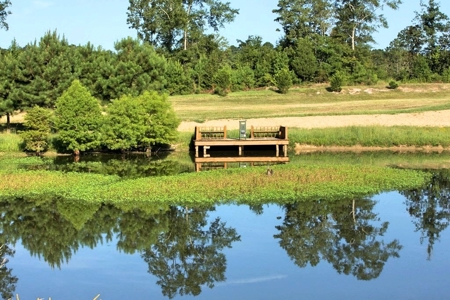 716 Acres Land for Sale on the Big Black River Woodville, MS - image 5