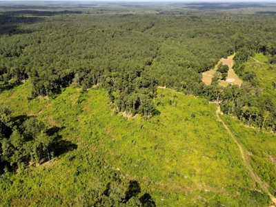 716 Acres Land for Sale on the Big Black River Woodville, MS - image 31