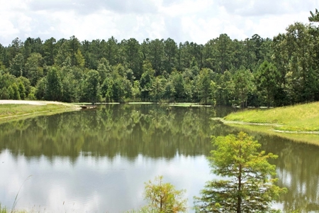 716 Acres Land for Sale on the Big Black River Woodville, MS - image 19