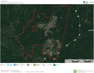 716 Acres Land for Sale on the Big Black River Woodville, MS - image 46