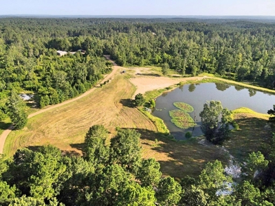 716 Acres Land for Sale on the Big Black River Woodville, MS - image 22