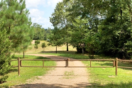 716 Acres Land for Sale on the Big Black River Woodville, MS - image 50