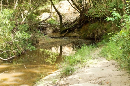 716 Acres Land for Sale on the Big Black River Woodville, MS - image 48