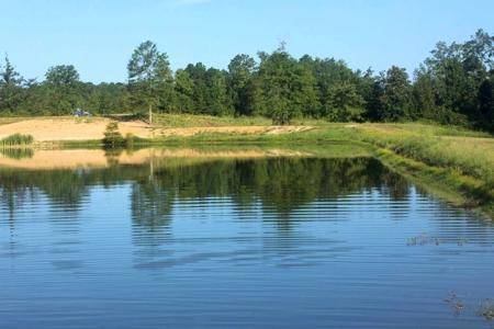716 Acres Land for Sale on the Big Black River Woodville, MS - image 4