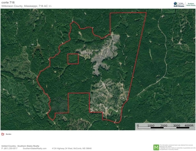 716 Acres Land for Sale on the Big Black River Woodville, MS - image 45