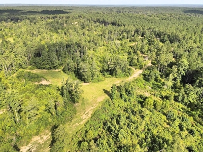 716 Acres Land for Sale on the Big Black River Woodville, MS - image 27
