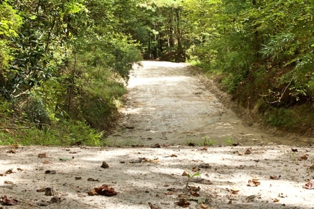 716 Acres Land for Sale on the Big Black River Woodville, MS - image 49