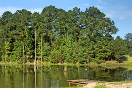 716 Acres Land for Sale on the Big Black River Woodville, MS - image 2
