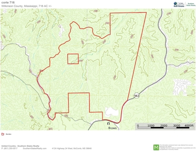 716 Acres Land for Sale on the Big Black River Woodville, MS - image 47