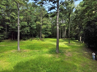 716 Acres Land for Sale on the Big Black River Woodville, MS - image 36