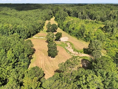 716 Acres Land for Sale on the Big Black River Woodville, MS - image 32