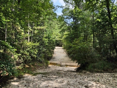 716 Acres Land for Sale on the Big Black River Woodville, MS - image 35