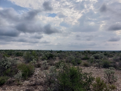 Texas Hunting Ranch with utilities near Pandale - image 2