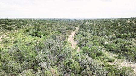 Texas Hunting Ranch with utilities near Pandale - image 12