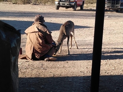 Texas Hunting Ranch with utilities near Pandale - image 22