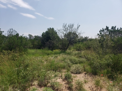 Texas Hunting Ranch with utilities near Pandale - image 11