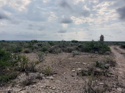 Texas Hunting Ranch with utilities near Pandale - image 9