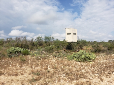 Texas Hunting Ranch with utilities near Pandale - image 8