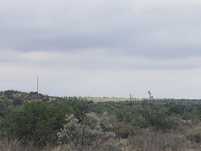 Texas Hunting Ranch with utilities near Pandale - image 6