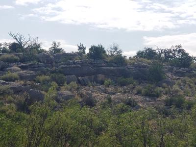 Hunting & Recreational Ranch For Sale in Val Verde County TX - image 16