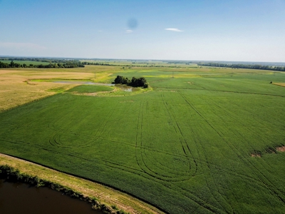 286.3 ac +/- Chariton County River Bottom Farm Auction - image 8