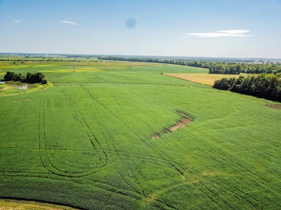 286.3 ac +/- Chariton County River Bottom Farm Auction - image 9