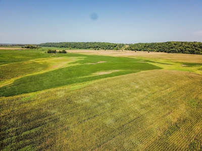 286.3 ac +/- Chariton County River Bottom Farm Auction - image 3
