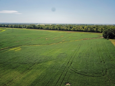 286.3 ac +/- Chariton County River Bottom Farm Auction - image 5