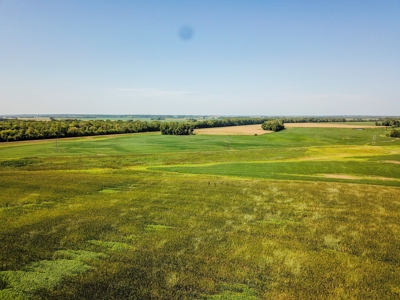 286.3 ac +/- Chariton County River Bottom Farm Auction - image 12