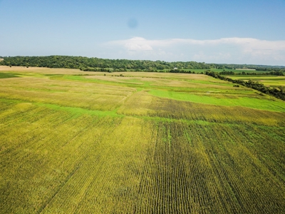 286.3 ac +/- Chariton County River Bottom Farm Auction - image 2