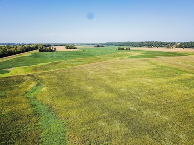286.3 ac +/- Chariton County River Bottom Farm Auction - image 1