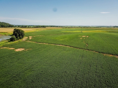 286.3 ac +/- Chariton County River Bottom Farm Auction - image 6