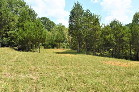 Hunting, Recreation, ATVs, Multiple Home Sites, Income, Shop - image 18