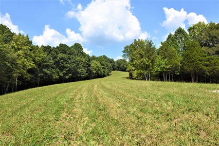 Hunting, Recreation, ATVs, Multiple Home Sites, Income, Shop - image 7