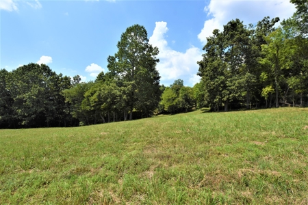 Hunting, Recreation, ATVs, Multiple Home Sites, Income, Shop - image 14