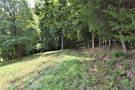 Hunting, Recreation, ATVs, Multiple Home Sites, Income, Shop - image 24
