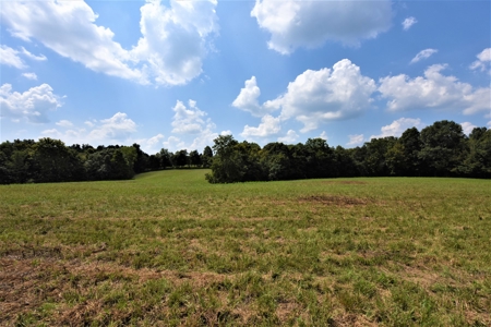 Hunting, Recreation, ATVs, Multiple Home Sites, Income, Shop - image 3