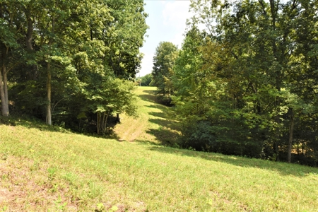 Hunting, Recreation, ATVs, Multiple Home Sites, Income, Shop - image 22