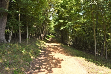 Hunting, Recreation, ATVs, Multiple Home Sites, Income, Shop - image 6