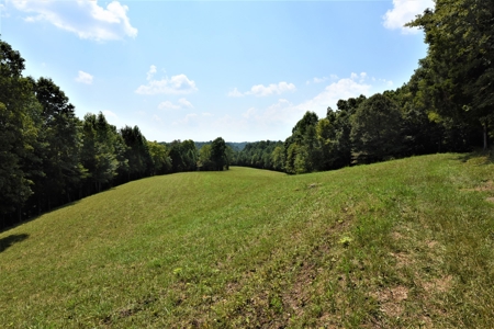 Hunting, Recreation, ATVs, Multiple Home Sites, Income, Shop - image 21