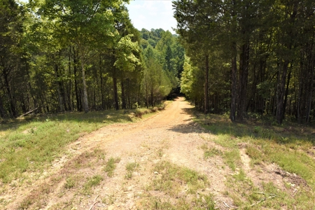 Hunting, Recreation, ATVs, Multiple Home Sites, Income, Shop - image 8