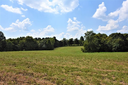 Hunting, Recreation, ATVs, Multiple Home Sites, Income, Shop - image 4