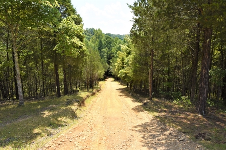 Hunting, Recreation, ATVs, Multiple Home Sites, Income, Shop - image 9