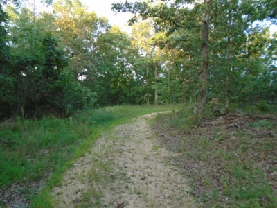 Close To Black River 40 Acres, Annapolis Missouri - image 5