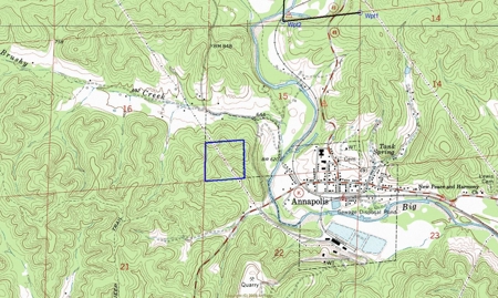 Close To Black River 40 Acres, Annapolis Missouri - image 7