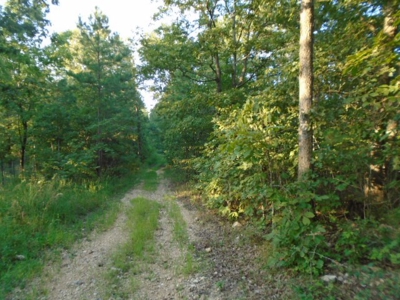 Close To Black River 40 Acres, Annapolis Missouri - image 1